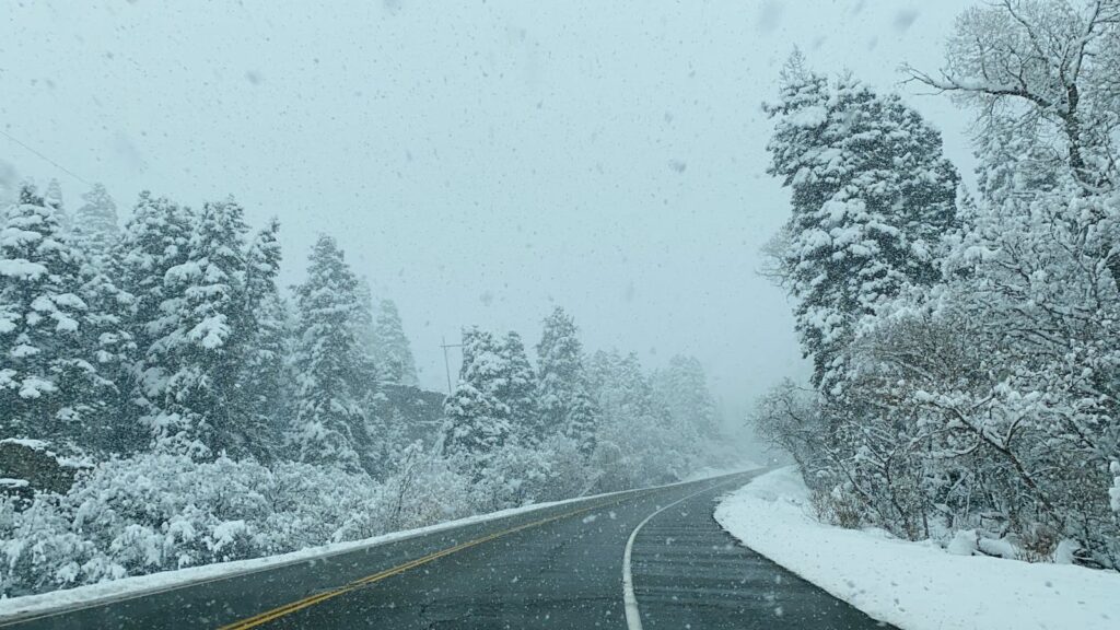 A snow-covered road winding through a winter forest in Salt Lake City during heavy snowfall.