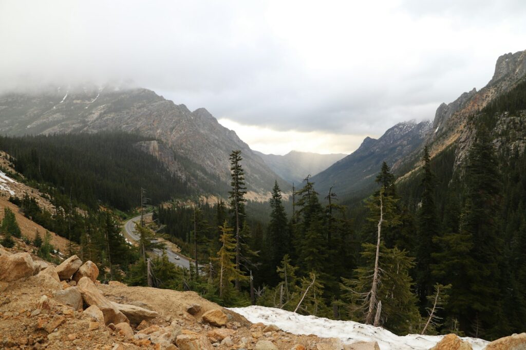 green trees on mountain during daytime