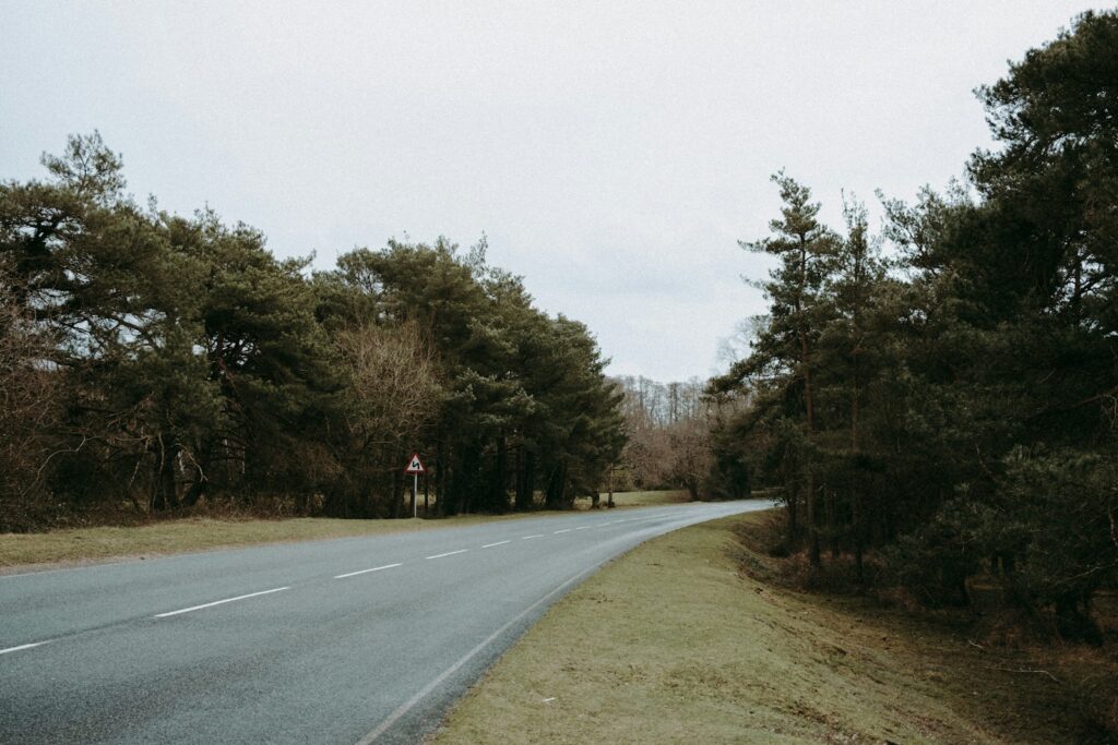 an empty road in the middle of a wooded area