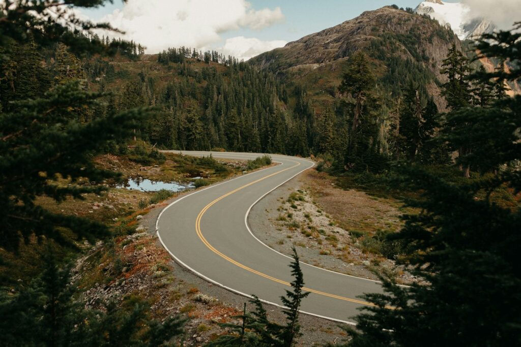 a curved road in the middle of a forest