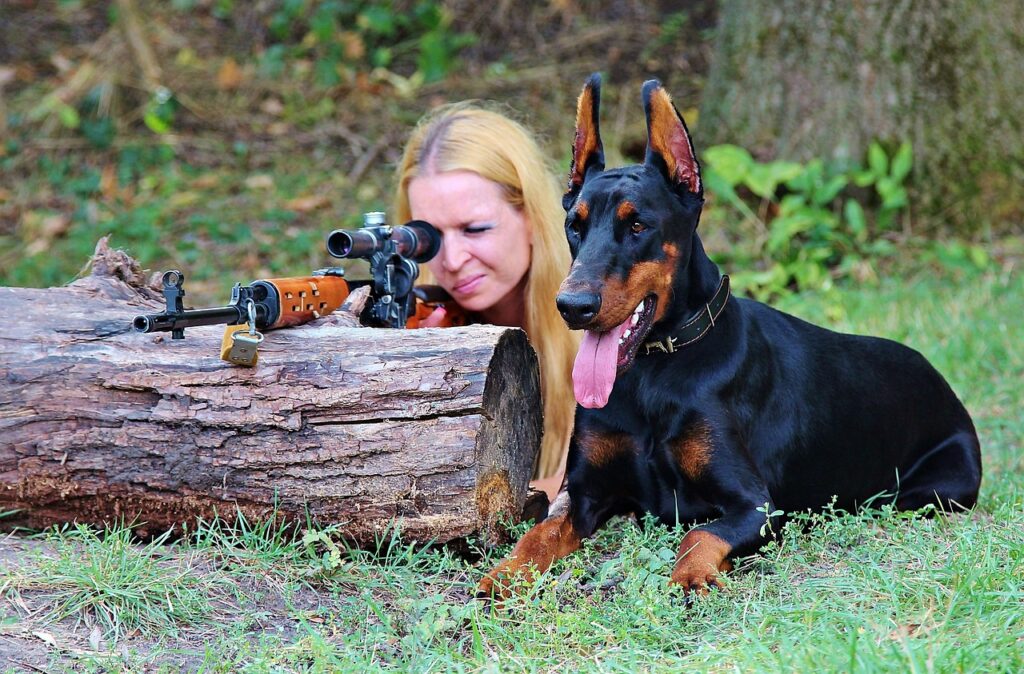 weapon, doberman, dog, woman, pistol, animal, hunting, sniper, pet, target