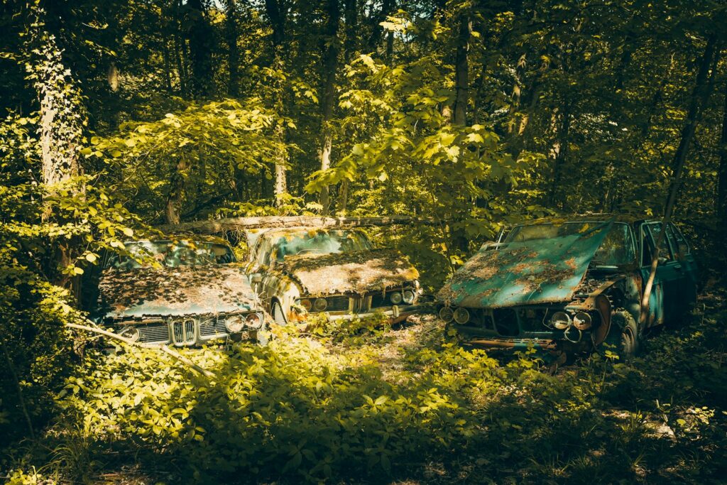 brown and green house under green trees