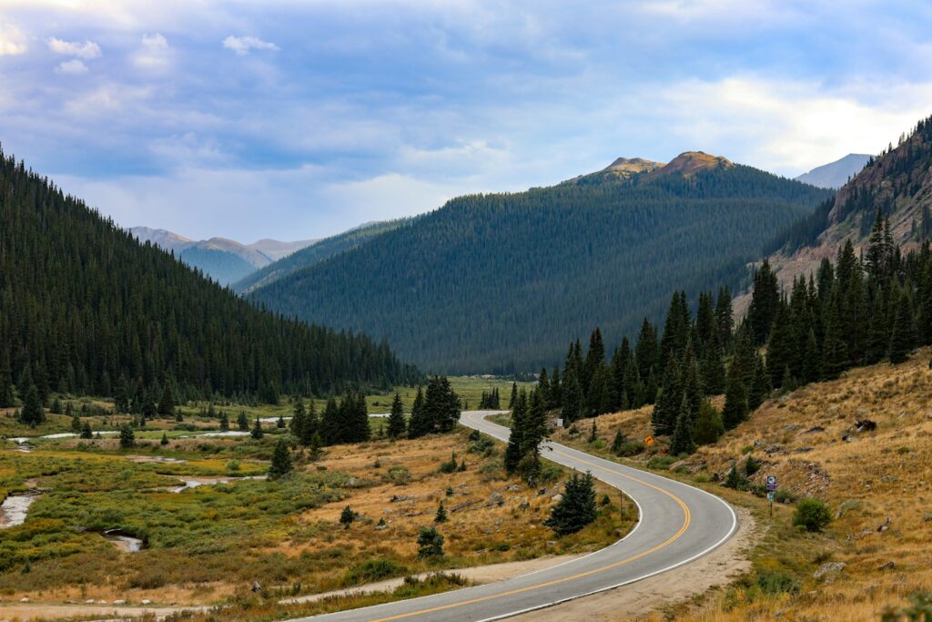 Winding road through a mountain valley with pine trees.