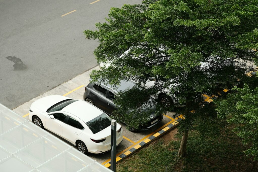 two cars parked in a parking lot next to a tree