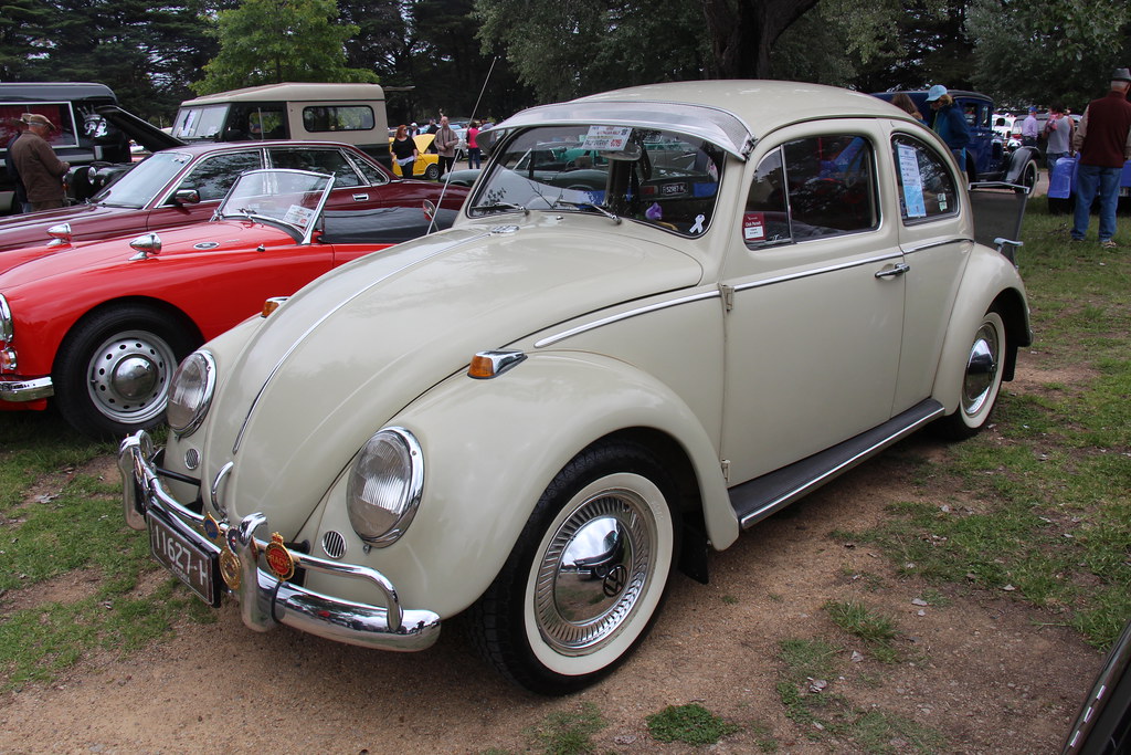 Why a VW Beetle Sent One Unlucky Deer Sky-High