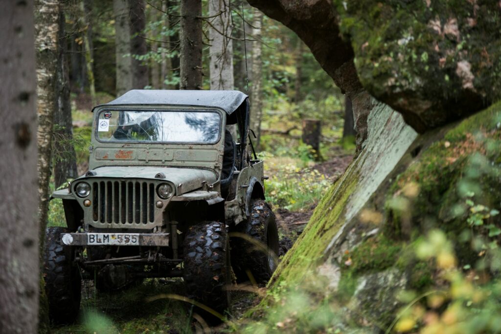 a green jeep driving through a forest filled with trees