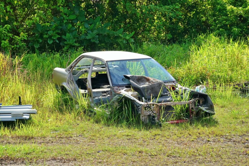 Abandoned car chassis overgrown with grass and weeds.