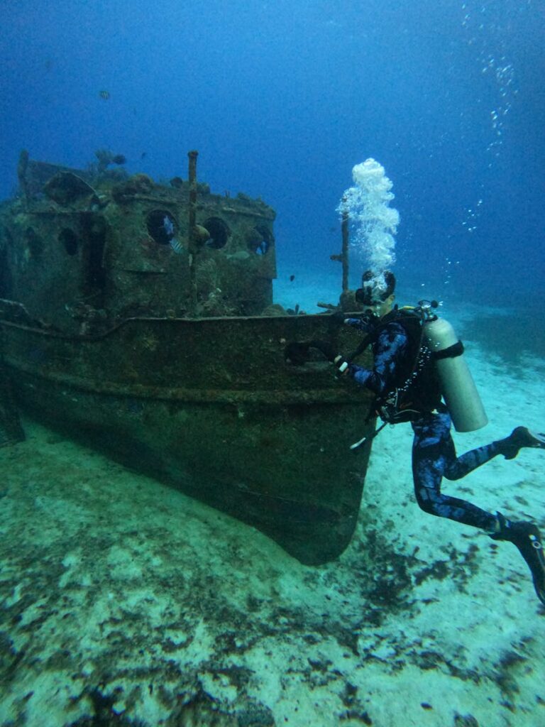 Scuba diver investigates a sunken ship on the ocean floor, surrounded by aquatic life.