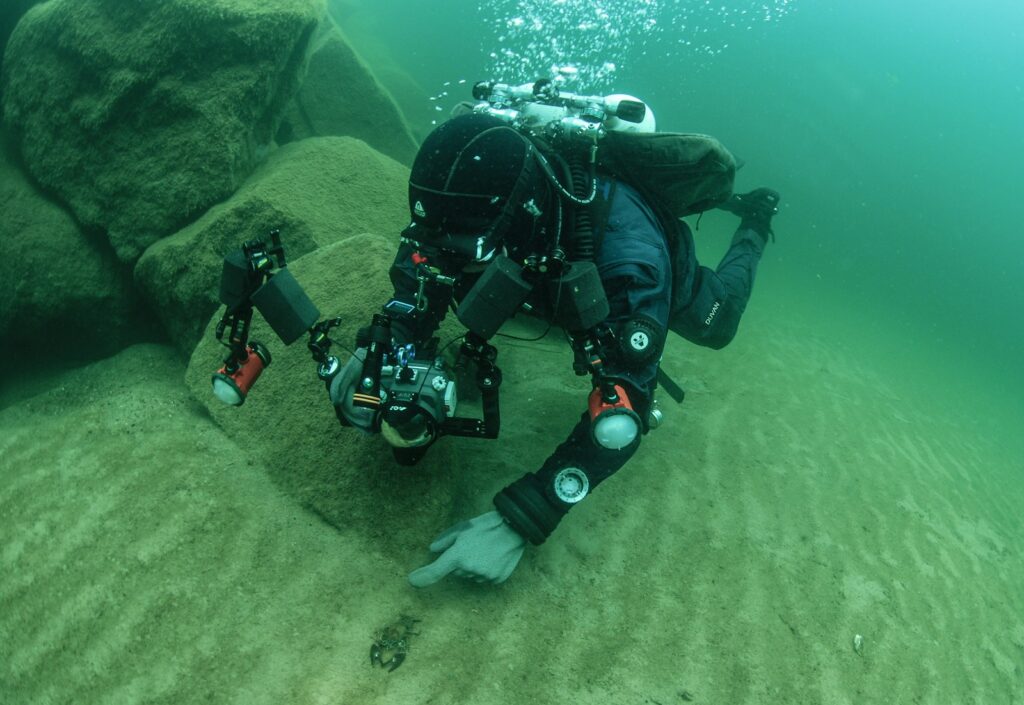 A scuba diver explores the underwater world.