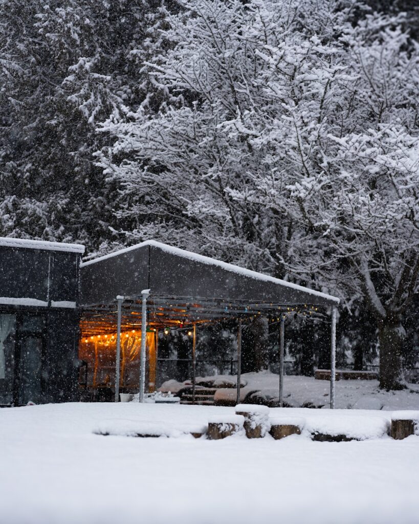A house covered in snow with trees in the background