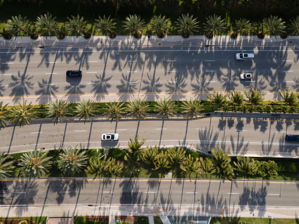 Aerial shot of a palm-lined road in Sunny Isles Beach, FL, showcasing exotic cars and tropical shadows.