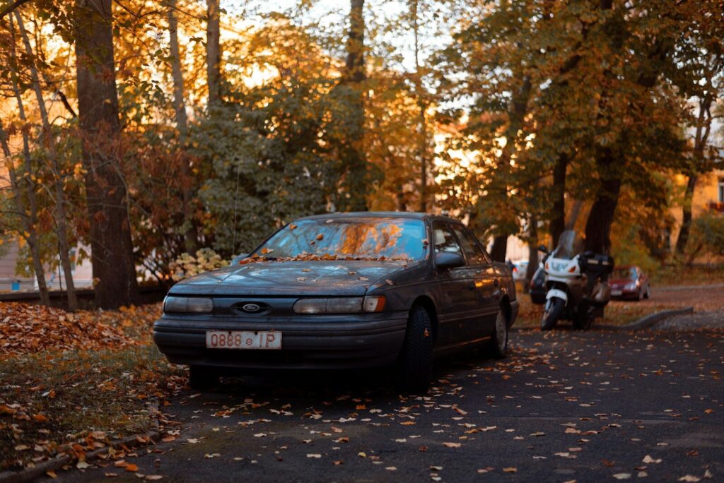 a car parked on a road with trees on either side of it