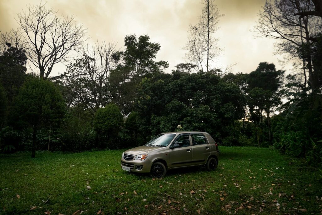 A small car parked on a grassy field